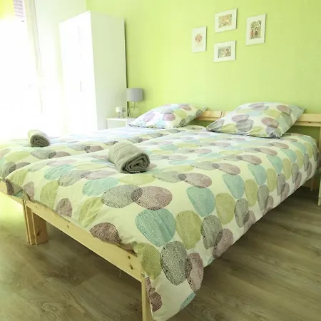 Apartment Center - Schnapsala Terrasse And Free Parking - Bookingalsace Colmar